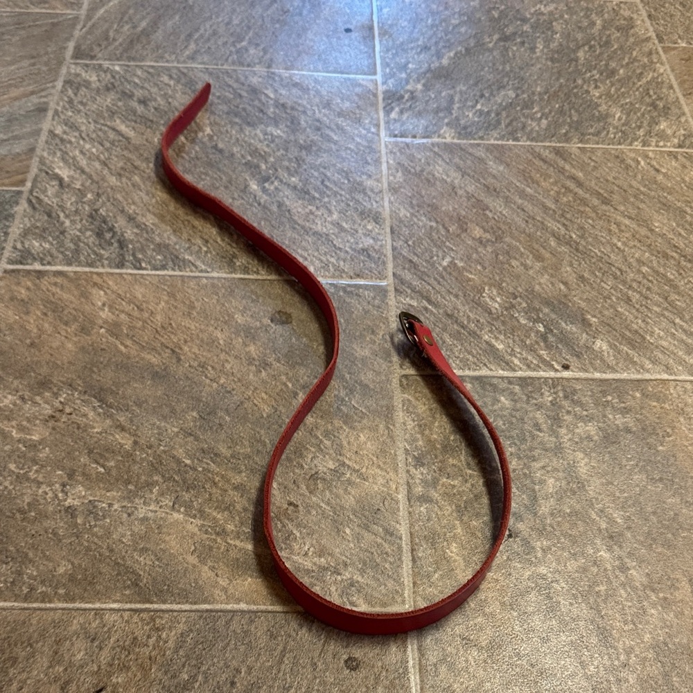 Elegant Red Leather Belt